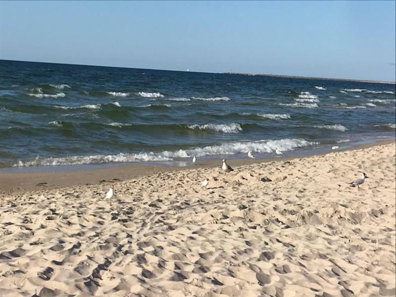 Idylla Apartamenty Polanki Kołobrzeg Exterior foto